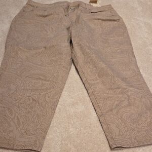 Zara Beige Paisley Pants Cropped